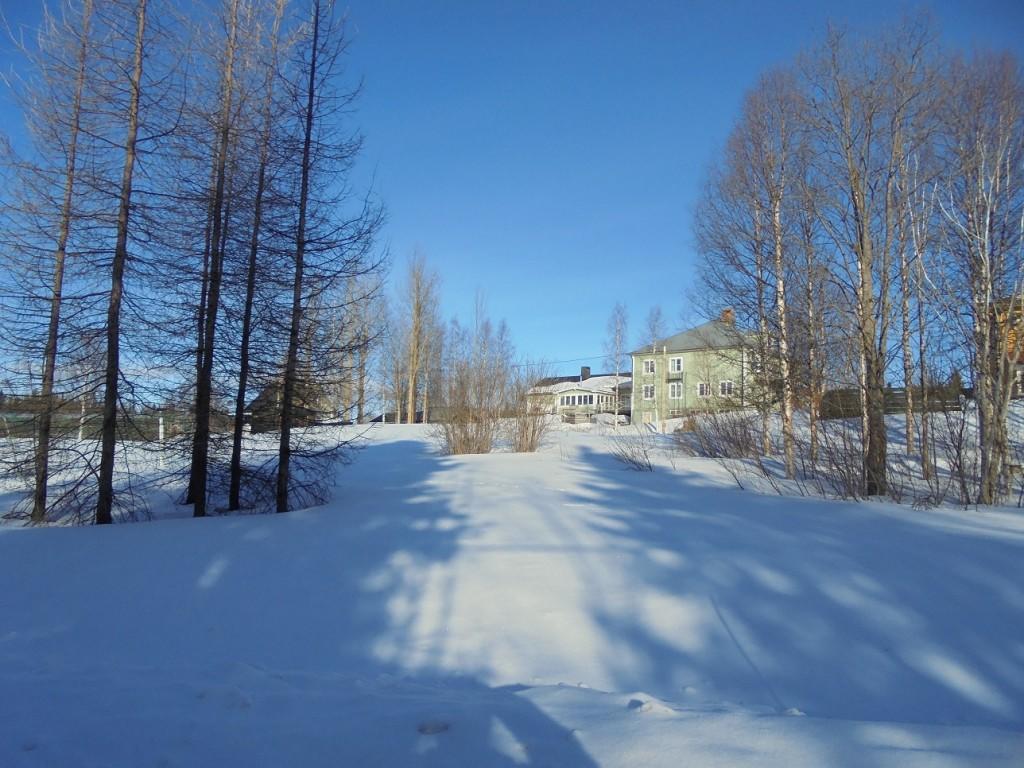 Jaerjagarden Guesthouse Storsele Экстерьер фото